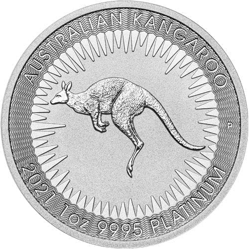 Silver Kangaroo