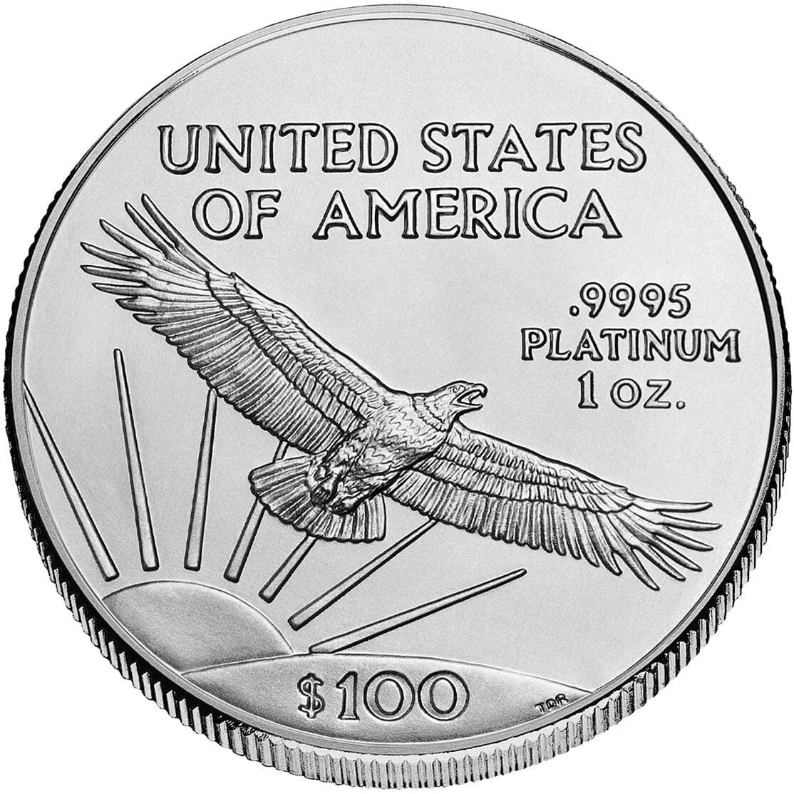 AmericanEagle Platinum back